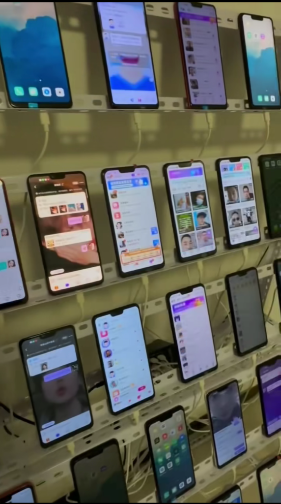 20240921172108967-微信图片_20240921160547