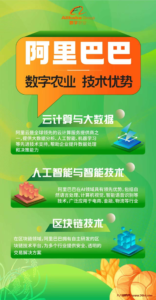 Superads海外广告项目，零撸8油，白嫖56米-首码项目网 - 网上创业赚钱首码项目发布推广平台 - 813首码网