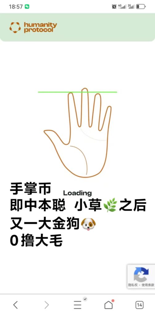 20241221130513884-掌纹