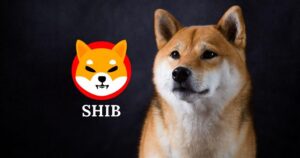 SHIB视界：纯零撸200万SHIB币，你的收益由你自己创造-首码项目网 - 网上创业赚钱首码项目发布推广平台 - 813首码网