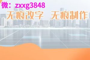 个人征信报告PDF无痕修改的准确性和合规性-首码项目网 - 网上创业赚钱首码项目发布推广平台 - 813首码网