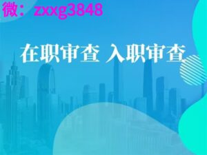 电子纸质征信报告扫描无痕修改主要涉及以下步骤-首码项目网 - 网上创业赚钱首码项目发布推广平台 - 813首码网