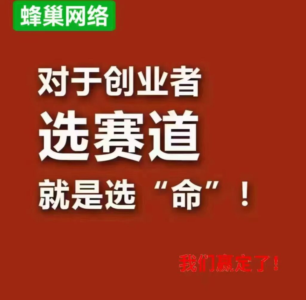 蜂巢网络STO，一战成名。招募优质个人，团队。布局2025一起上岸-首码项目网 - 网上创业赚钱首码项目发布推广平台 - 813首码网
