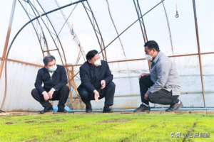 首码《签签宝》抖音全自动挂机APP，单账号日收益6-10米，无需手动，全程自动化，-首码项目网 - 网上创业赚钱首码项目发布推广平台 - 813首码网