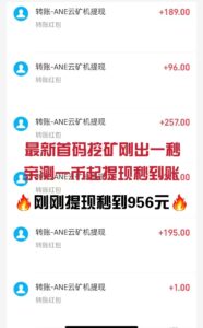 电脑挂机浏览，单机日入超1000元，支持矩阵式批量操作-首码项目网 - 网上创业赚钱首码项目发布推广平台 - 813首码网