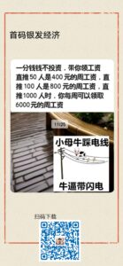 首码银发经济,内测上线,保底收艺高,上车吃肉,不要错过!-首码项目网 - 网上创业赚钱首码项目发布推广平台 - 813首码网