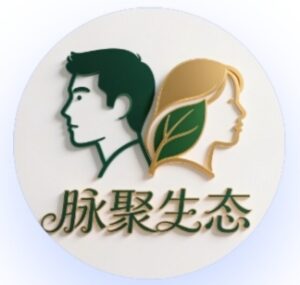 零撸【脉聚生态】刚上线！一个MAIB币=价格1.1u-首码项目网 - 网上创业赚钱首码项目发布推广平台 - 813首码网