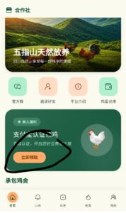山鸡养殖，每天提0.5，抓紧上车-首码项目网 - 网上创业赚钱首码项目发布推广平台 - 813首码网