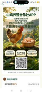 山鸡养殖合作社，免费领取五指山山鸡，每天产1牧鸡蛋-首码项目网 - 网上创业赚钱首码项目发布推广平台 - 813首码网