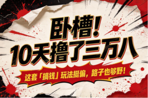 卧槽!10天撸了三万八,这套「搞钱」玩法挺偏,路子也够野!-首码项目网 - 网上创业赚钱首码项目发布推广平台 - 813首码网